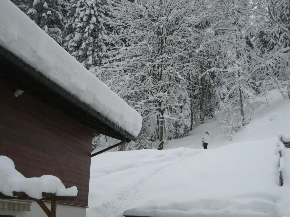Ski-In Ski-Out Chalet Kriekels - By Alpen Apartments Целль-ам-Зе Экстерьер фото